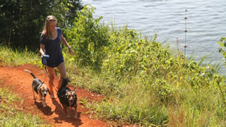 Kya  walks 2 dogs back after a swim in the River Nile
