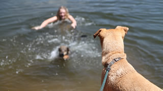 Suki watches Kya and Marbie swim