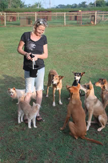 Co-Owner Natalie, with dogs and cat at Nile Pet Boarding